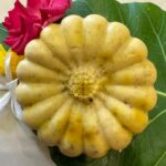 Earthly bliss facial cleanser